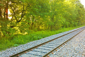 rail road sleepers